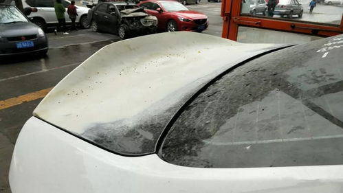 全国首例起亚k2宽体改装车,小众车也能玩出自己的风格