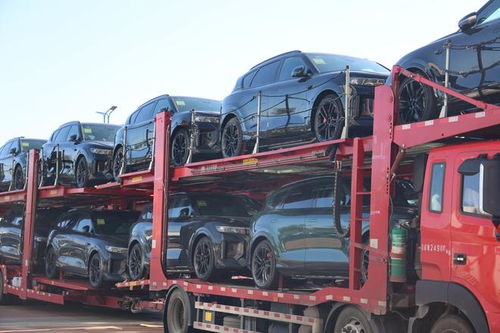 206辆商品车从阿拉山口口岸出口至中亚两国